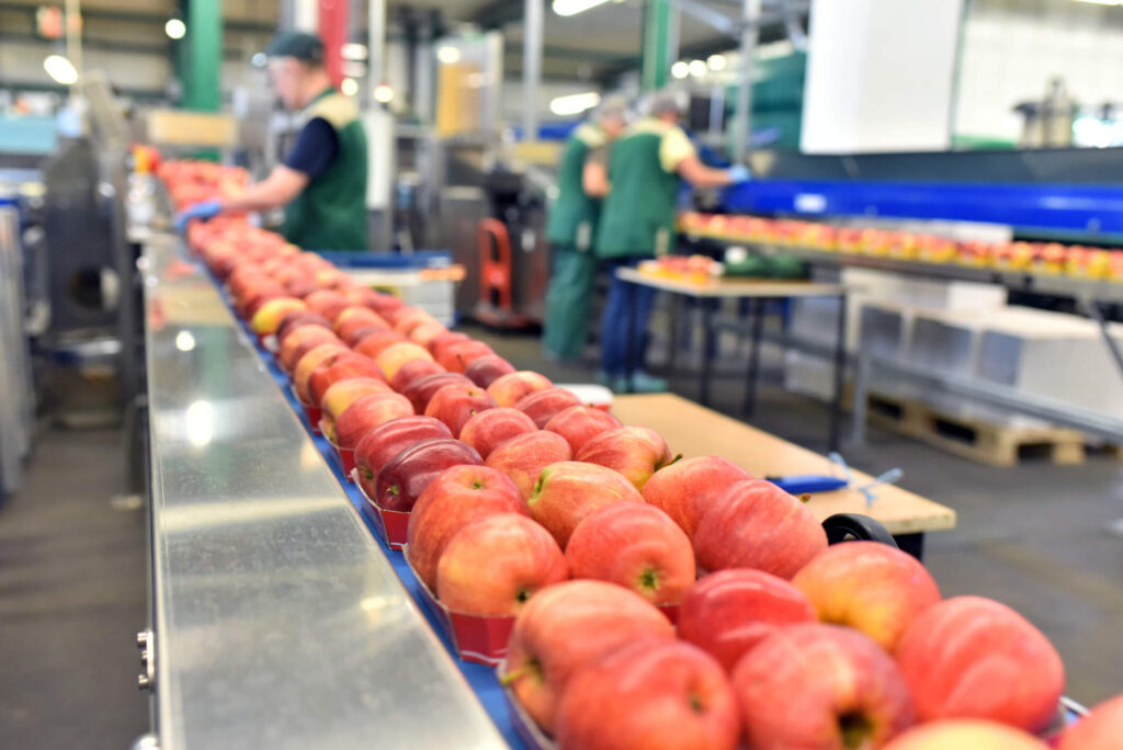Liberty Plastics Increases Turns 8,000% for Large Food Manufacturer